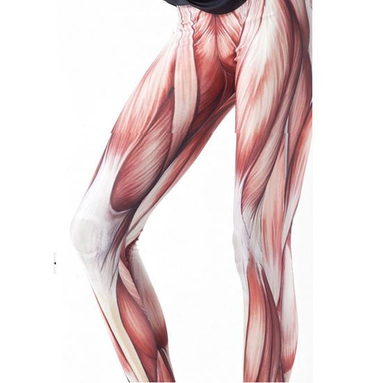 Muscle Print Black White Soft Leggings for Gal Vascular Galaxy