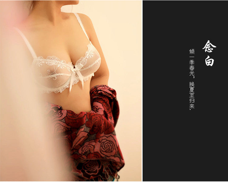 Hot 2015 Free Shipping Fashion transparent sexy bra set plus size Women gauze embroidery ultra-thin navy blue black underwear